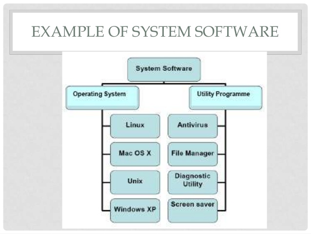 Examples Of Computer Software - euronew